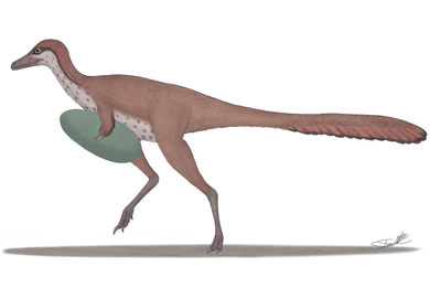 Манипулоникс, возможно, был специалистом по похищению и поеданию яиц более крупных динозавров