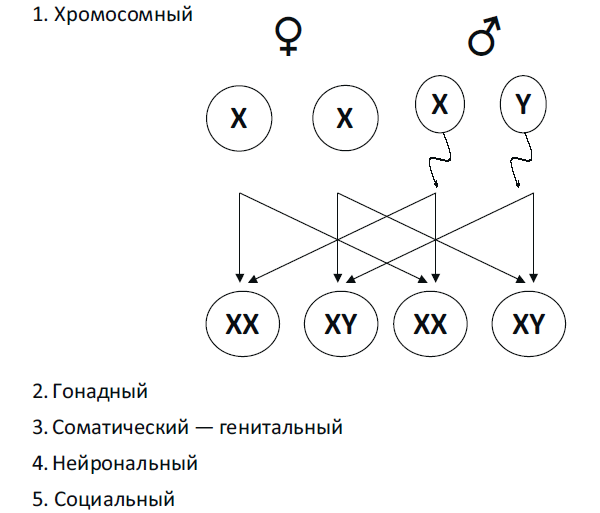Биология поведения
