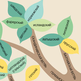 О профессиональной и любительской лингвистике