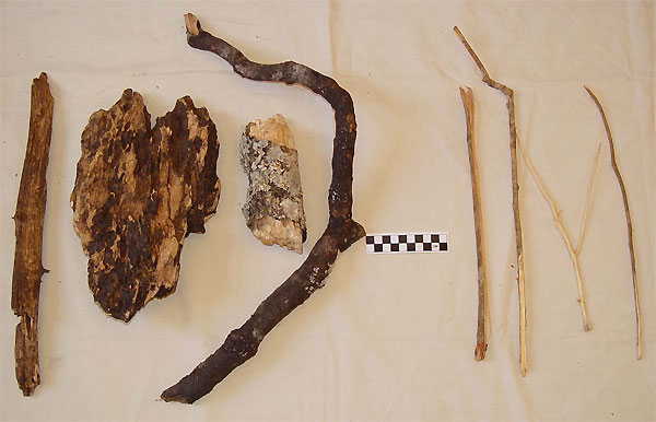 Слева — четыре деревяшки, использовавшиеся юными шимпанзе в качестве кукол, справа — типичные зонды или «палки-ковырялки». Шкала дана в сантиметрах. Фото из дополнительных материалов к обсуждаемой статье в Current Biology