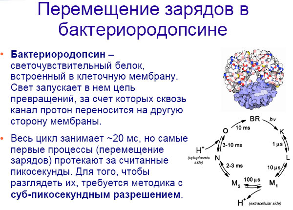 Как расщепляют мгновение