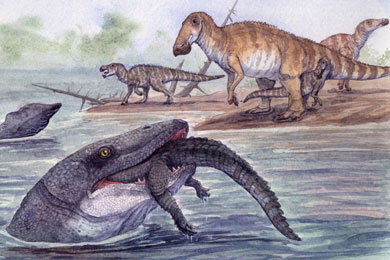 Некоторые виды мозазавров могли быть пресноводными